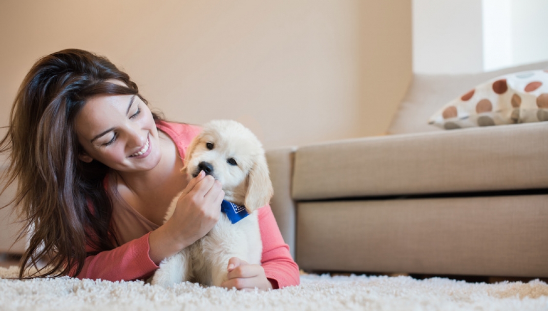 Puliti&Felici - Prendersi cura degli animali domestici